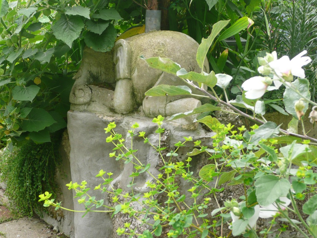 olifant