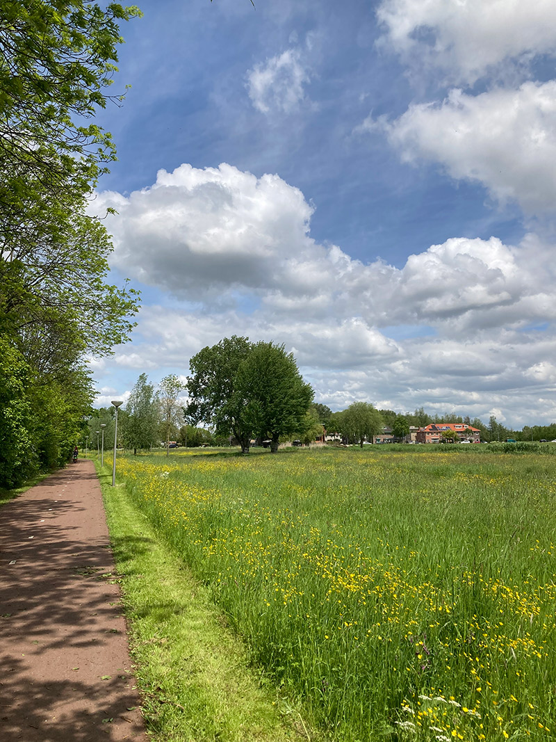 VTV-Blijdorp-hooiland-2
